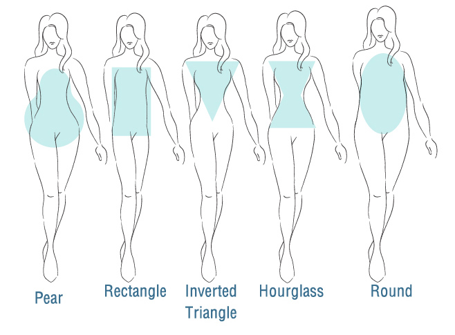 body shape diagram